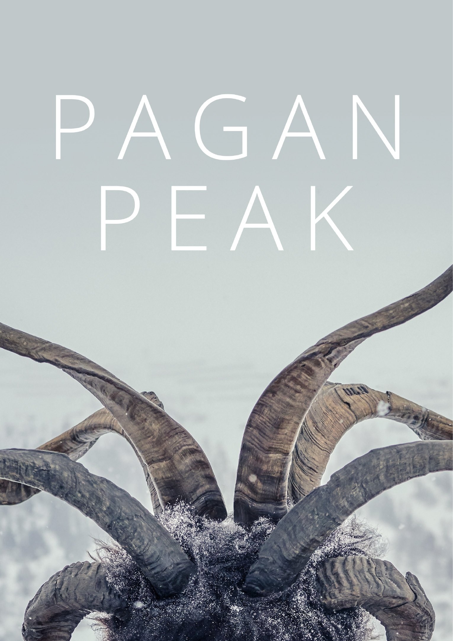 Pagan Peak [Der Pass] (2019 TV Series)